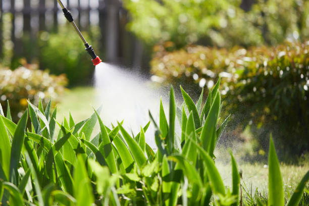 24/7 Emergency Fumigation Services experts in Moodys, OK