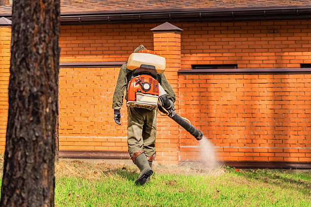 Trusted Rodent Control service in Moodys, OK - Nex Pest Control
